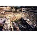 I resti della domus romana